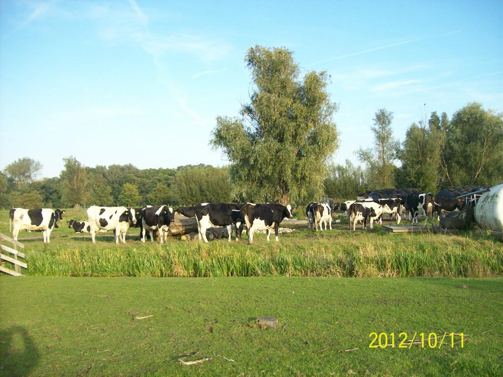 Het Boenhok Logies Lekkerkerk Exterior foto